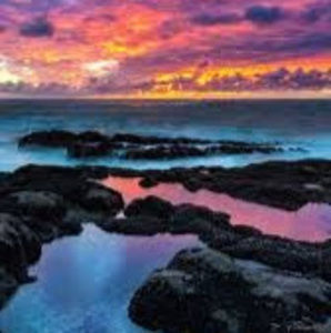 Meet your Posher, Aiden